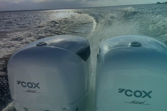 Cox Marine motor